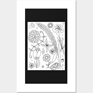 Flowery Coloring Page Posters and Art